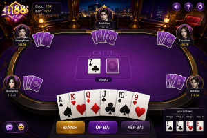 Catte M88Vin 3D